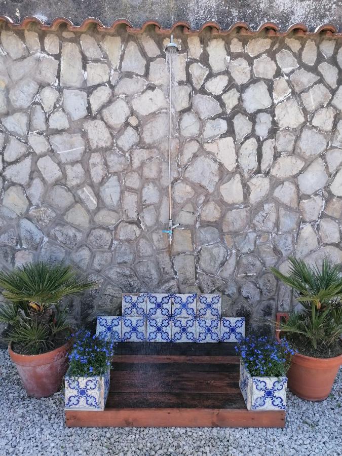 B&B Villa Teresa Sorrento Bagian luar foto
