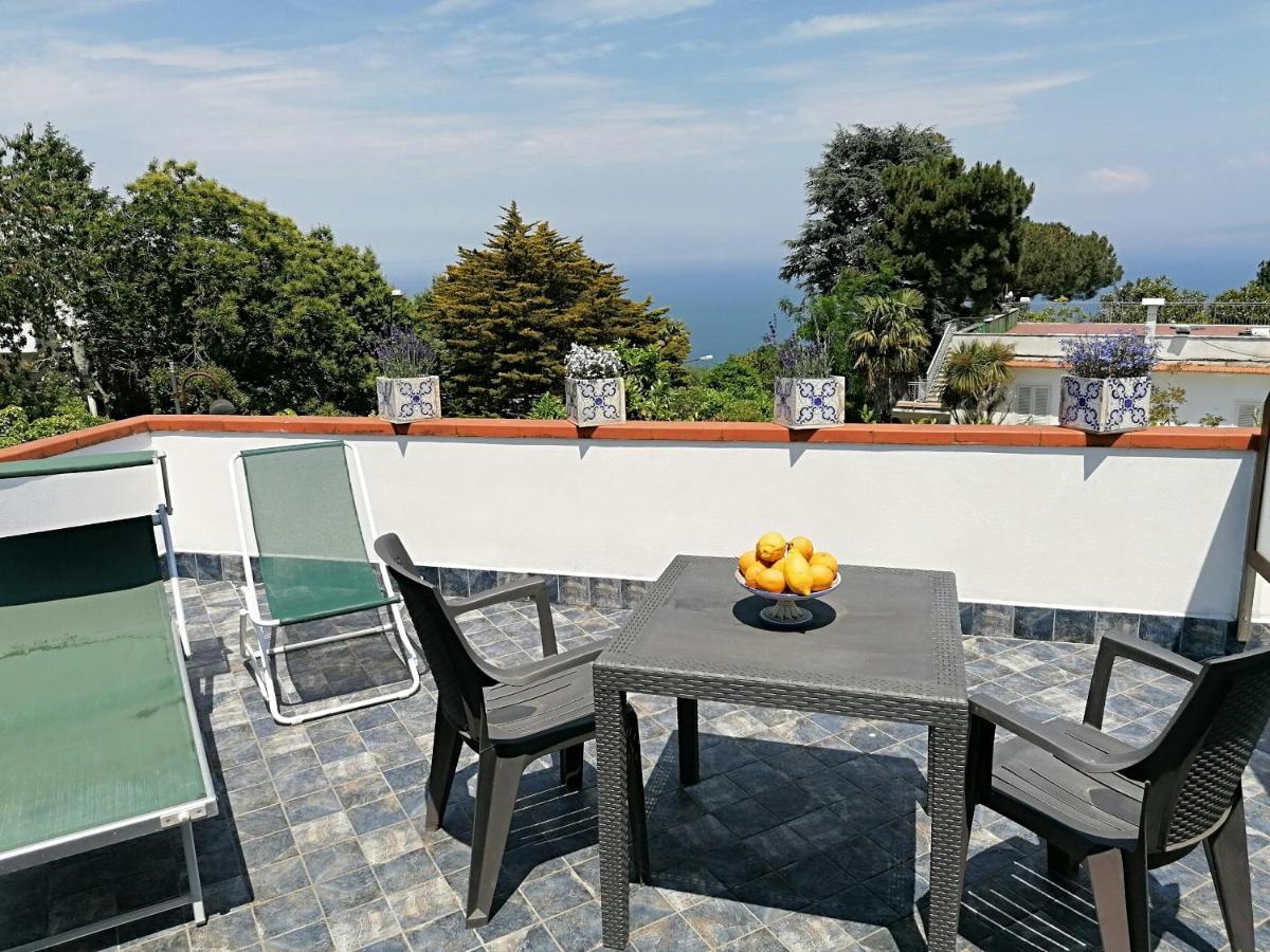 B&B Villa Teresa Sorrento Bagian luar foto
